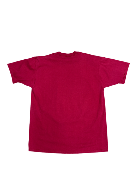 1990's Arkansas Razorbacks 1994 Final Four Pyramid Hog Tee