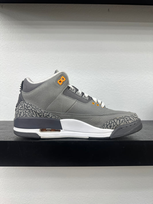 Preowned Jordan 3 Retro Cool Grey (2021)