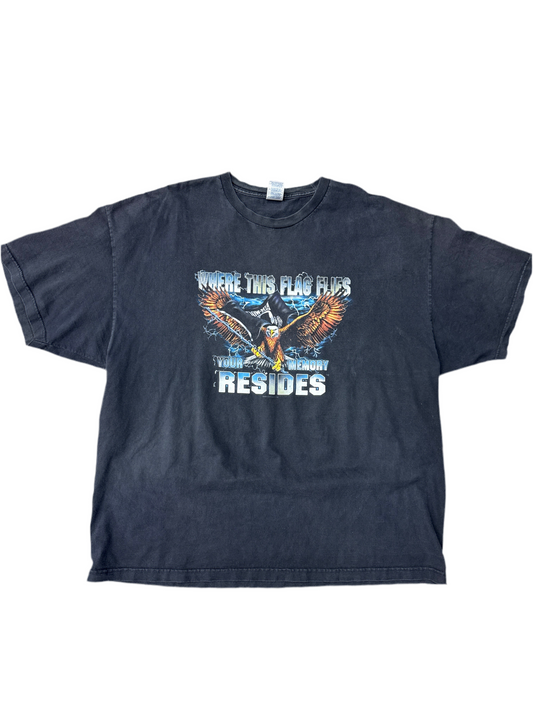 Y2K Where This Flag Flies Tee