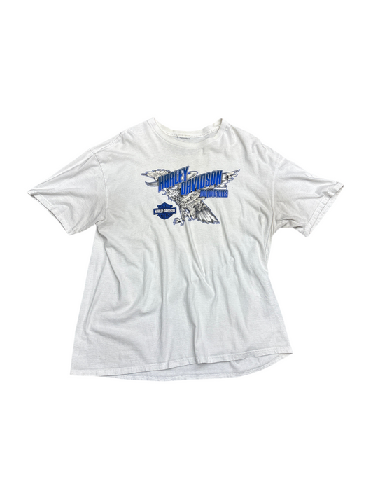 Harley Destin Florida