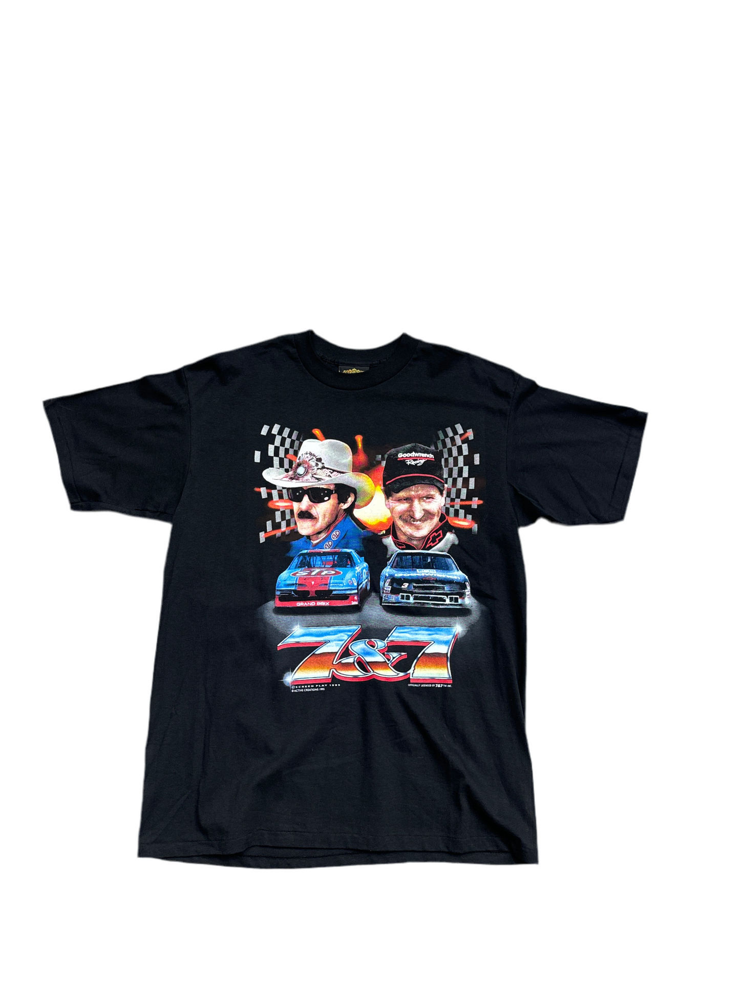 90s Dale Earnhardt & Richard Petty NASCAR