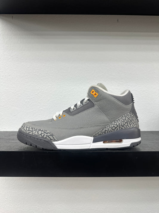 Preowned Jordan 3 Retro Cool Grey (2021)