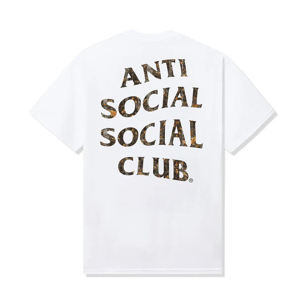 ASSC Real Tree Mind Games